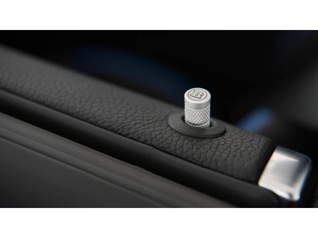 BRABUS DOOR LOCK PINS FOR W205