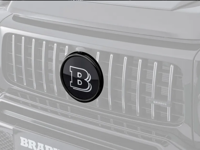 Close-up of a car grille with a brand logo on a gray background