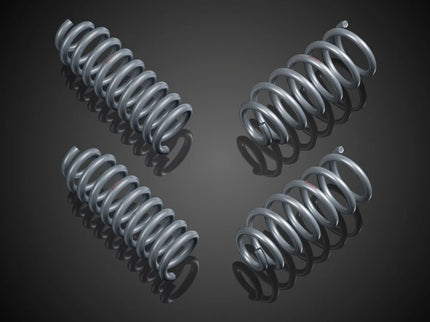 BRABUS SPORT SPRINGS FOR C 192 – AMG GT 63