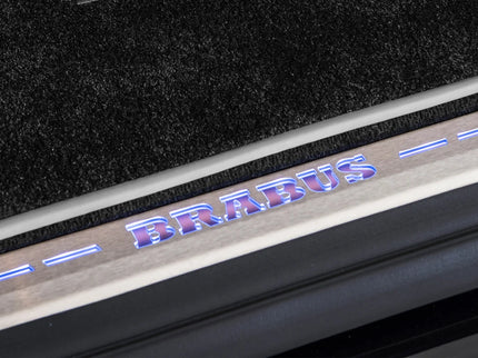 RGB ENTRY PANELS BACK DOOR FOR W 463A – G 350 - G 500