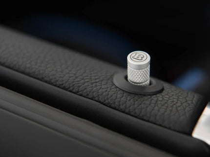 ALUMINUM LOCK PINS FOR W 177 – AMG A 35