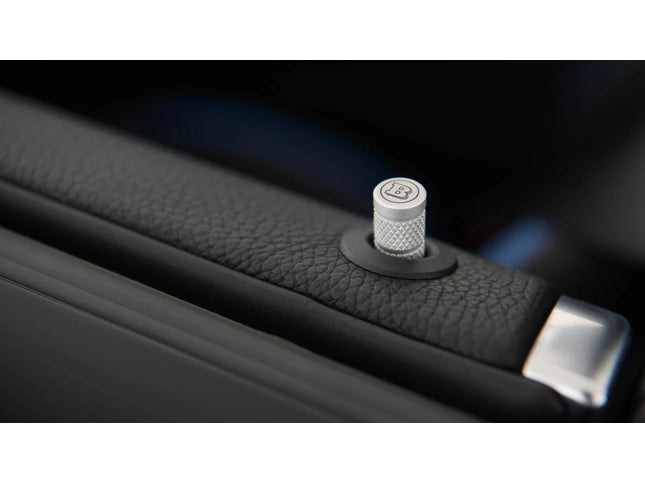 ALUMINUM LOCK PINS FOR W 177 – AMG A 35