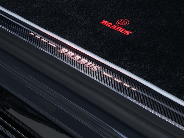 CARBON ENTRY PANELS FOR W 463A – AMG G 63 4x4²