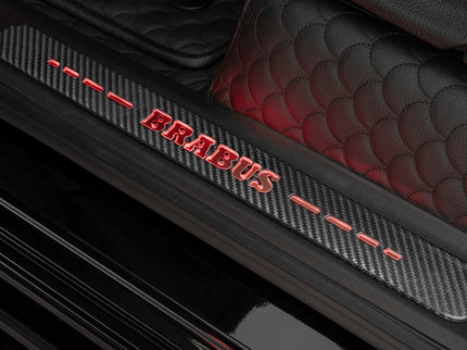CARBON ENTRY PANELS FOR W 465 – AMG G 63