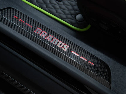 CARBON ENTRY PANELS FOR PORSCHE TAYCAN