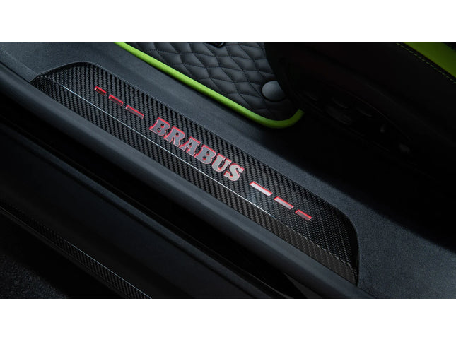 CARBON ENTRY PANELS FOR PORSCHE TAYCAN
