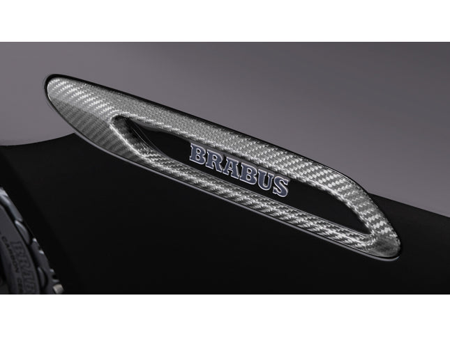 CARBON FENDER ADD-ON PARTS FOR R 232 – AMG SL 63