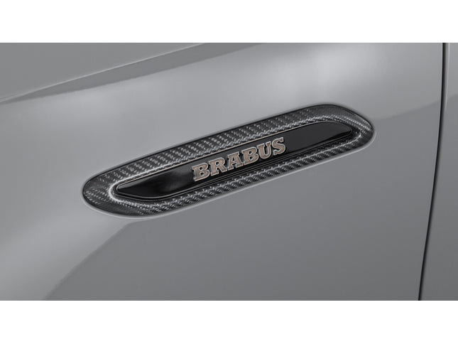 CARBON FENDER ADD-ON PARTS FOR W 214 – AMG E 53