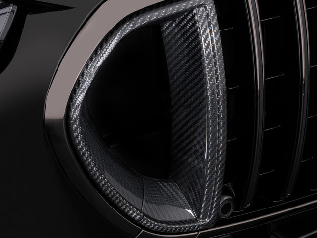 CARBON FRONT GRILL INSERTS FOR V 223 – AMG S 63