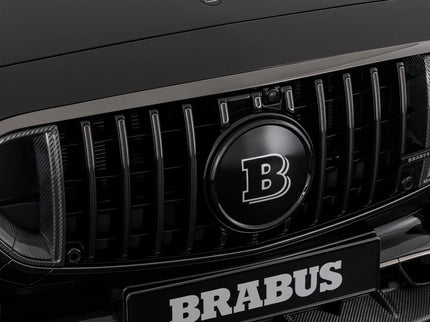 CARBON FRONT GRILL INSERTS FOR V 223 – AMG S 63