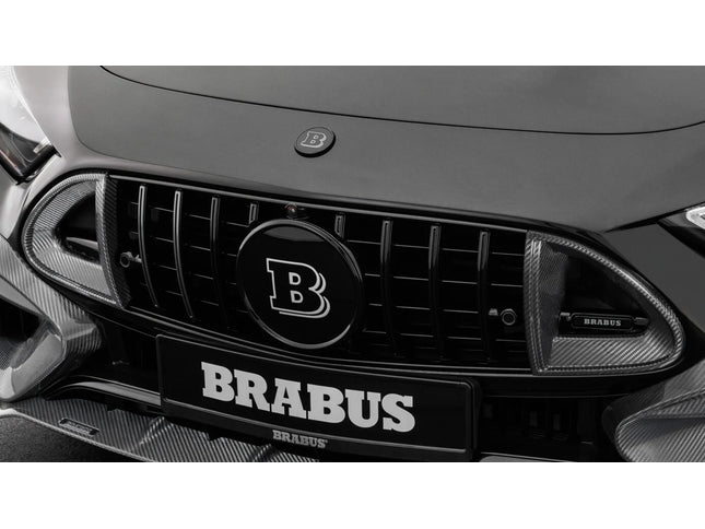 CARBON FRONT GRILLE INSERTS FOR R 232 – AMG SL 63