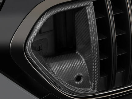 CARBON FRONT GRILLE INSERTS FOR W 214 – AMG E 53