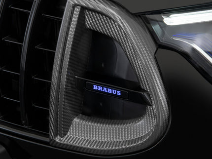 CARBON FRONT GRILLE INSERTS FOR X 254 – AMG GLC 63