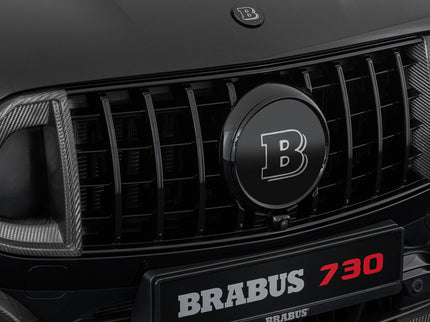 CARBON FRONT GRILLE INSERTS FOR X 254 – AMG GLC 63