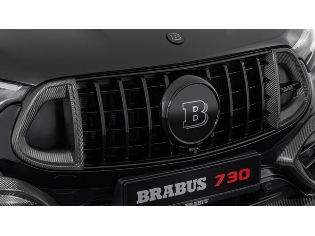 CARBON FRONT GRILLE INSERTS FOR X 254 – AMG GLC 63