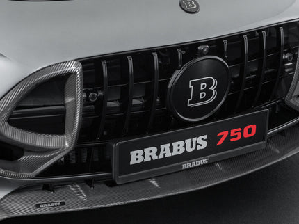 CARBON FRONT GRILLE INSERTS FOR C 192 – AMG GT 63