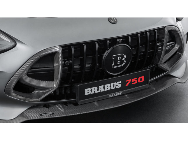 CARBON FRONT GRILLE INSERTS FOR C 192 – AMG GT 63