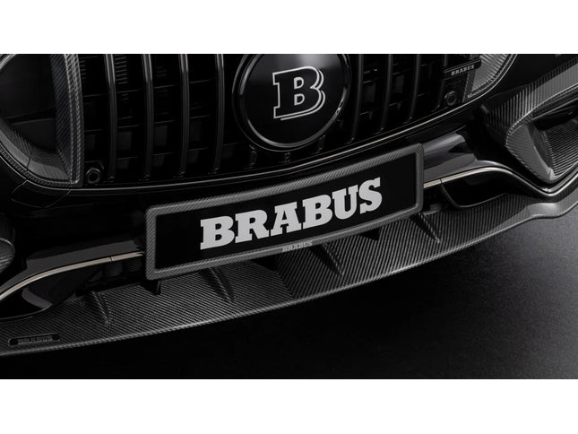 CARBON LICENSE PLATE HOLDER FOR V 223 – AMG S 63