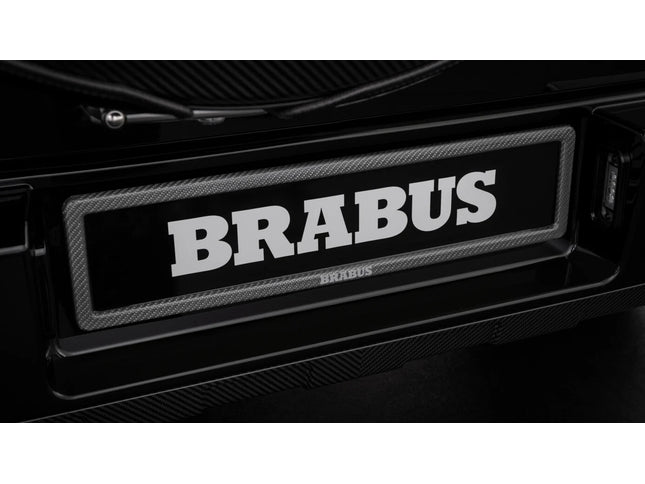 CARBON LICENSE PLATE HOLDER FOR W 463A – G 350 - G 500