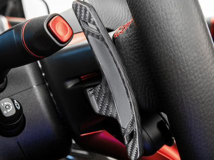 CARBON PADDLE SHIFTERS FOR R 232 – AMG SL 63
