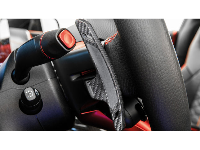 CARBON PADDLE SHIFTERS FOR R 232 – AMG SL 63