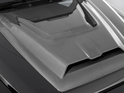 CARBON POWERDOME FOR W 465 – G 450 - G 500