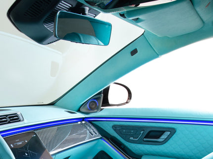 LEATHER-TRIMMED A-, B-, AND C- PILLARS FOR W 223 - AMG LINE