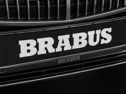 LICENSE PLATE HOLDER FOR W 177 – AMG A 45