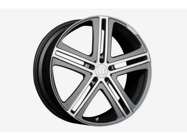 MONOBLOCK G "PLATINUM EDITION" FOR W 463A – G 350 - G 500
