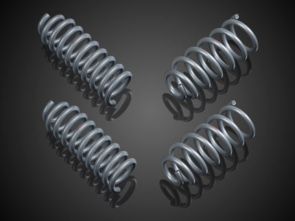 SPORT SPRINGS - 4MATIC FOR W 206 - AMG LINE